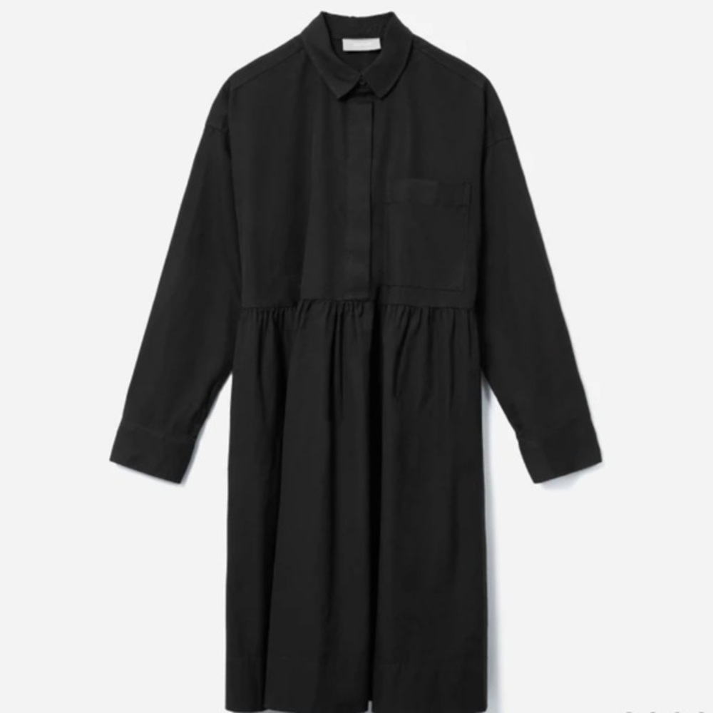 Everlane Black Oversized Collared Long Sleeve Shirt Field Mini Dress